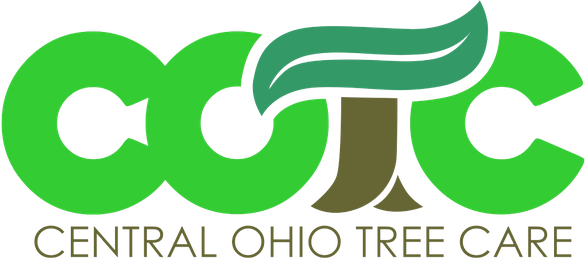 Green Planet | Landscape | Tree Care