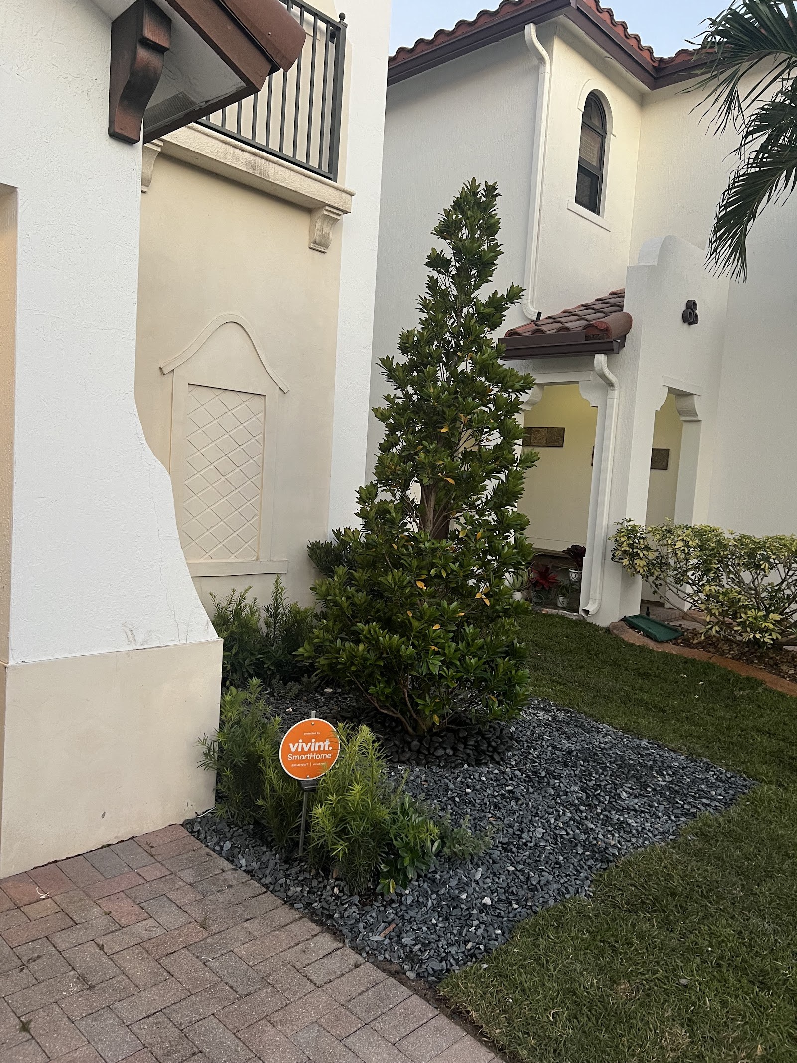 Freshly planted tree by a home entryway