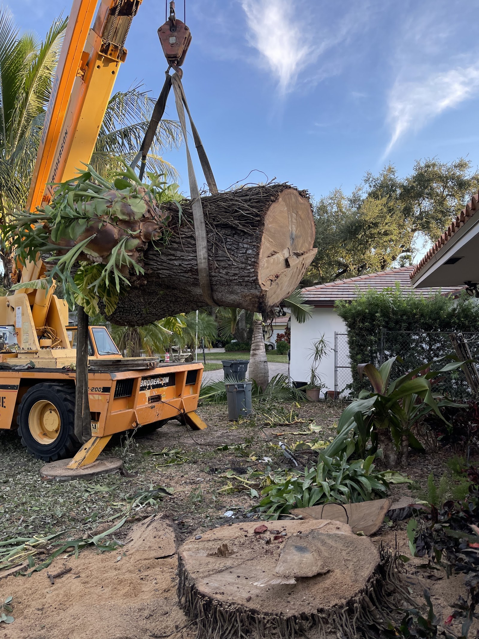 Crane-assisted removal, trunk section lifted