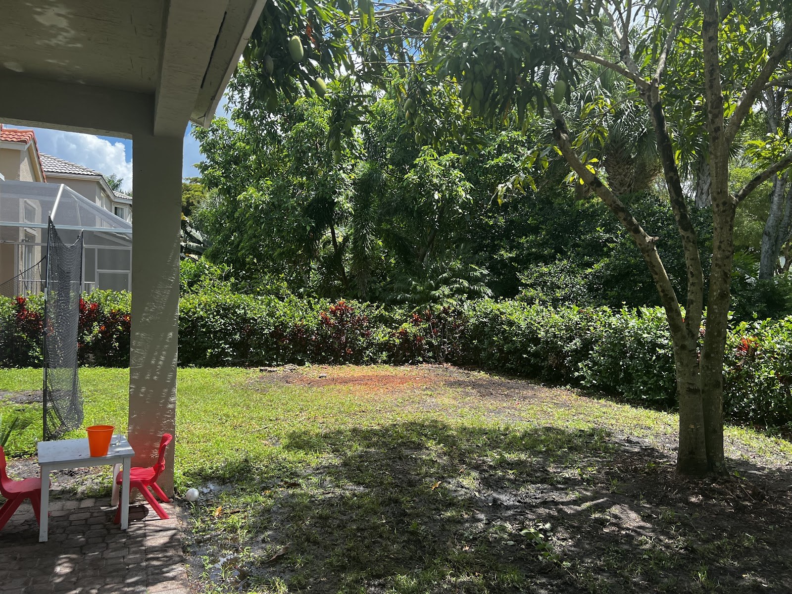 Shade tree canopy over a backyard patio