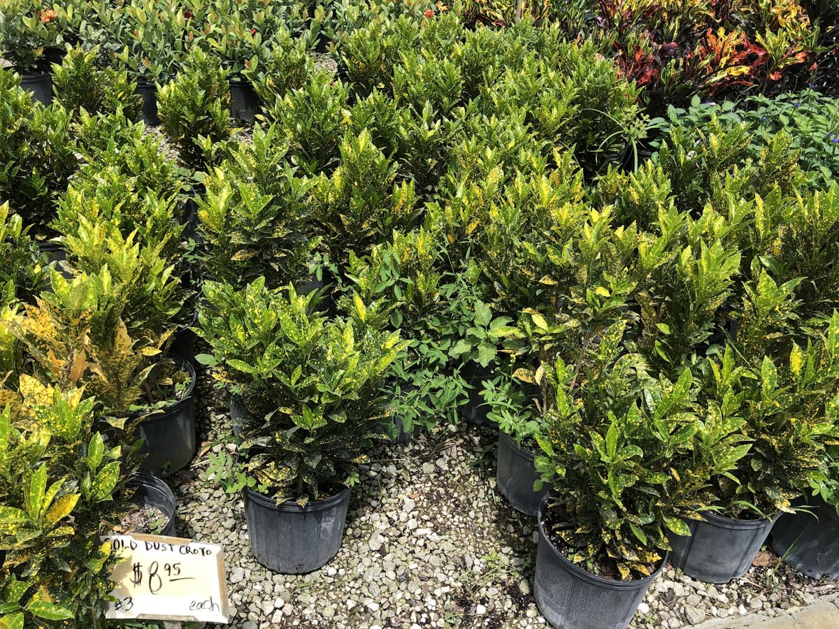 Landscape Service & Cleanup